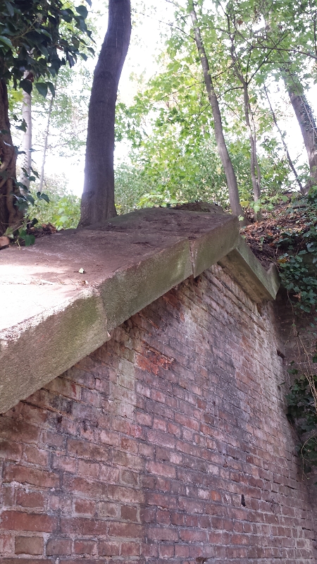 k Cap 6 Ausfalltor rechts Efeubeseitigung 13 10 2016 26