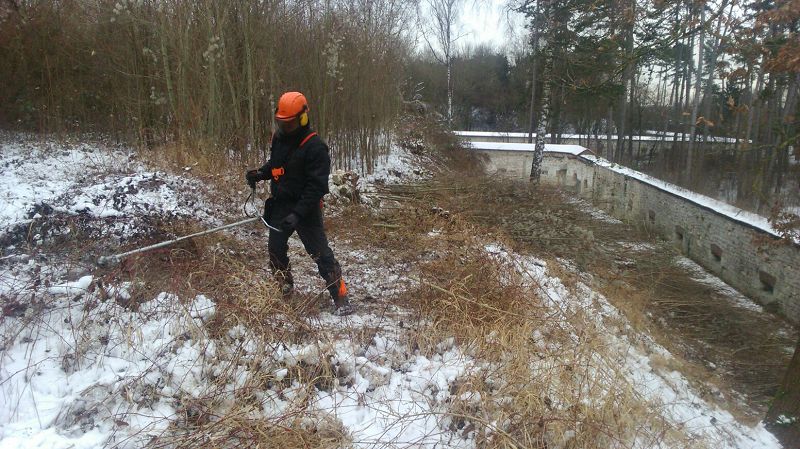 k Werk XXX Aufhahme Rodung 10 01 2017 U Dewein 2