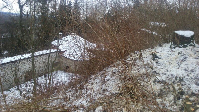 k Werk XXX Aufhahme Rodung 10 01 2017 U Dewein 5